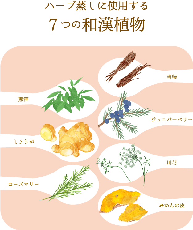 ハーブ蒸しに使用する8つの和漢植物