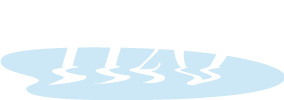 H2O