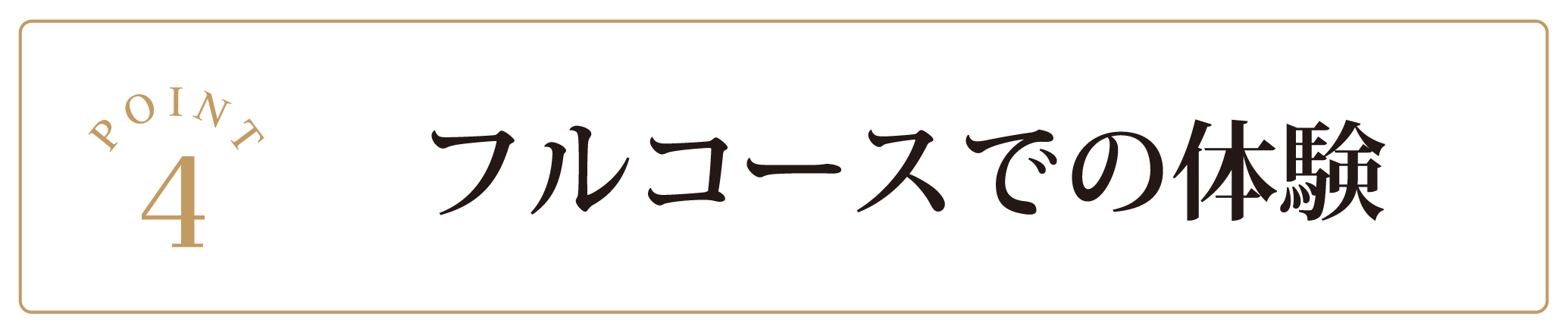 フルコースでの体験