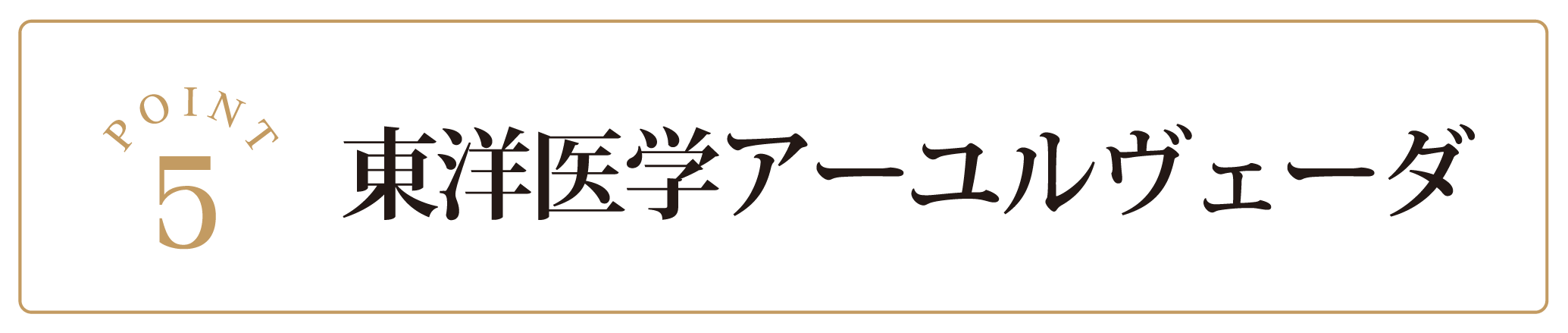 東洋医学アーユルヴェーダ