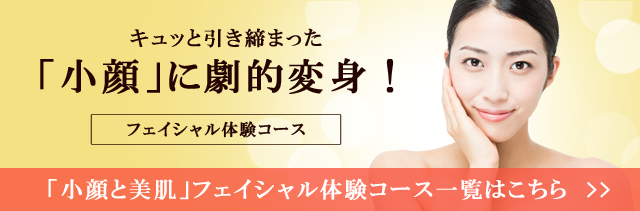 フェイシャル体験コース