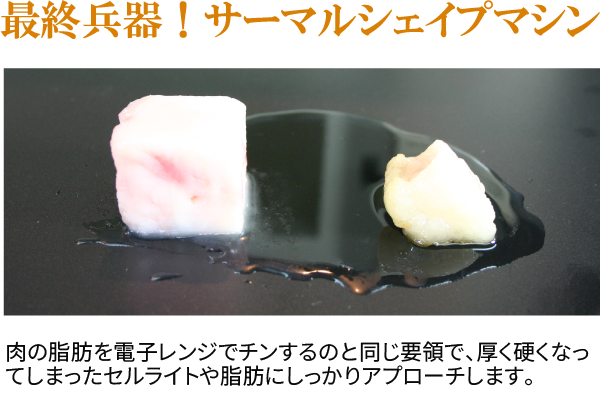 脂肪溶解 サーマルシェイプ エステ 大阪 梅田 心斎橋の エイチツーオー 脂肪溶解 サーマルシェイプ エステ 大阪 梅田 心斎橋の エイチツーオー