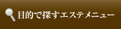 ړIʂŒTGXej[