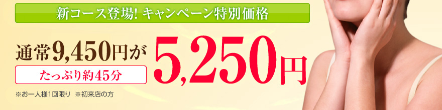 VR[Xo!@Ly[ʉi@ʏ9,450~5,250~@Ղ45@ll1@X̕