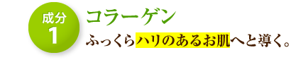 1 R[Q@ӂn̂邨ւƓB