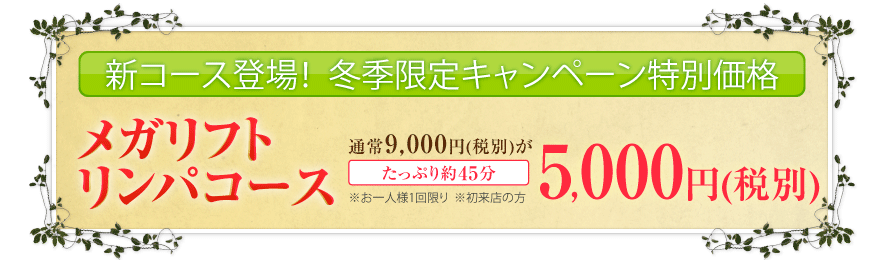 VR[XoI@Ly[ʉi@KtgpR[X@ʏ9,450~5,250~@Ղ45@ll1@X̕